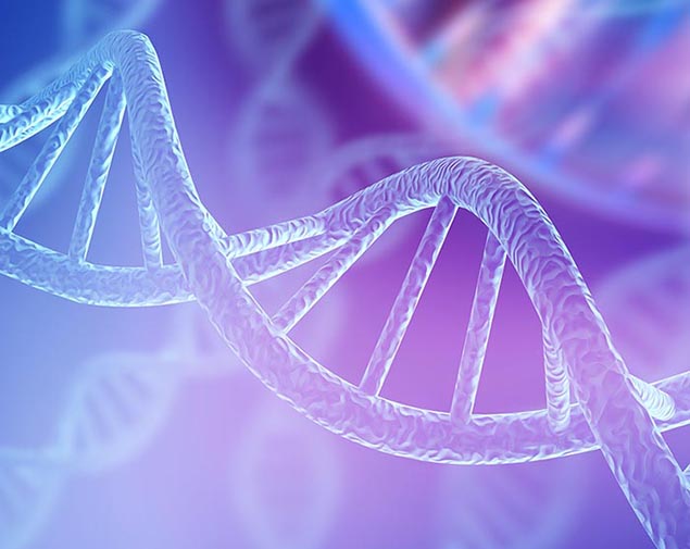 Cattle DNA Testing and Sample Submission