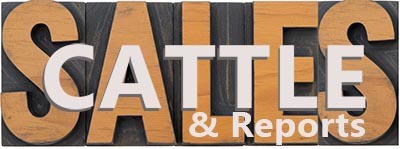 Simmental Genetics Cattle Sales