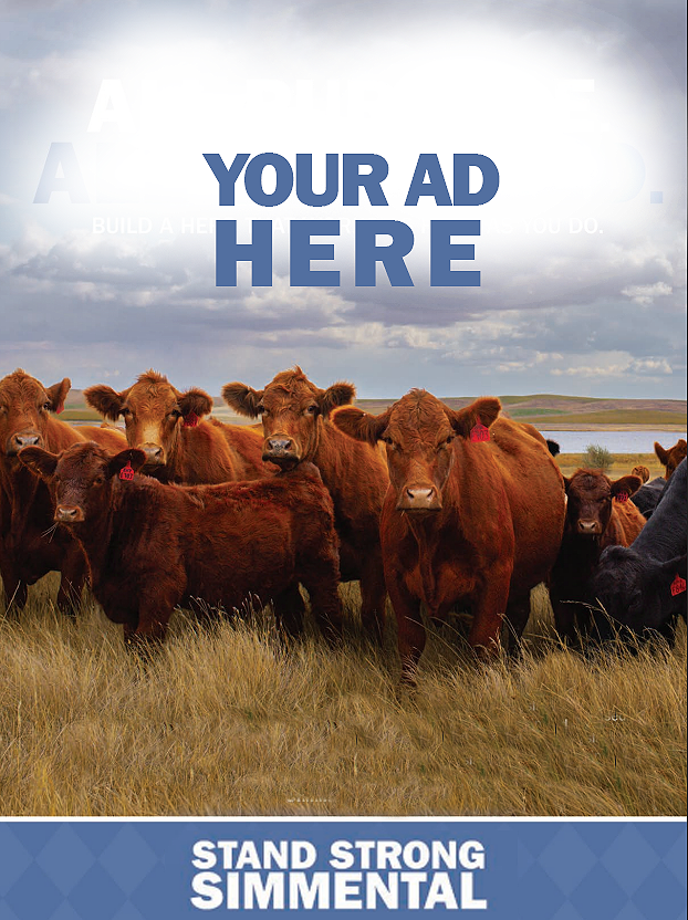 All Purpose Ad 2026